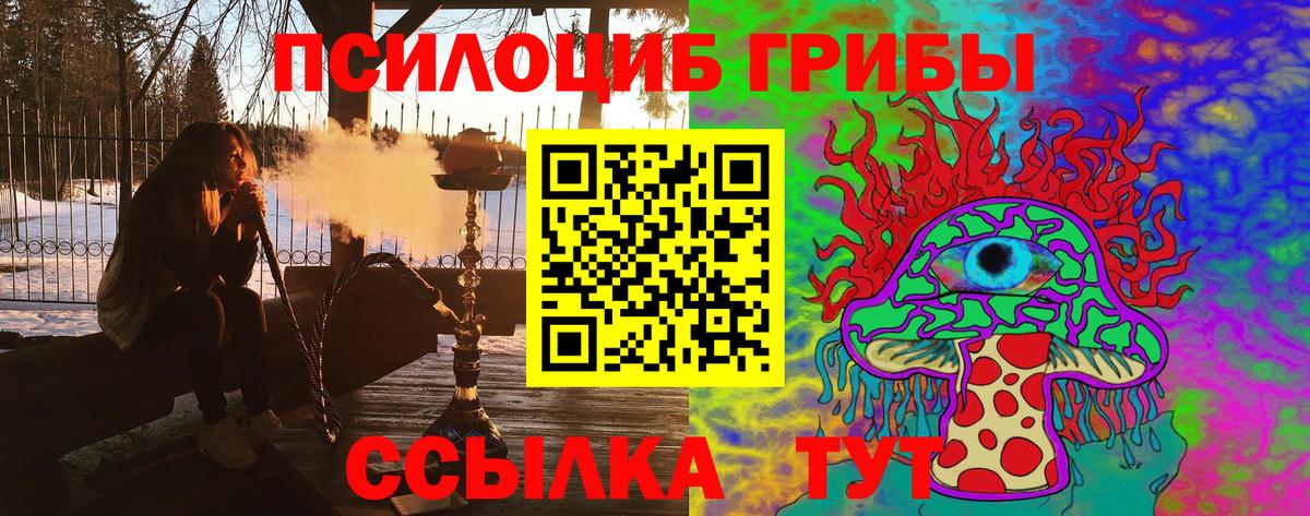 Галлюциногенные грибы мицелий Гуково