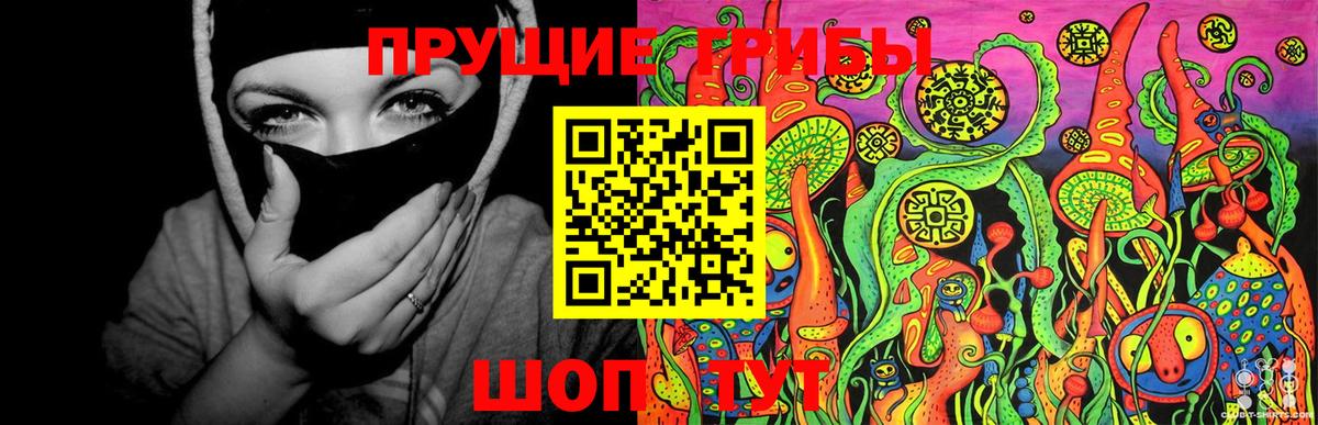 Гуково  Псилоцибиновые грибы Psilocybe  хочу   Вход с VPN 